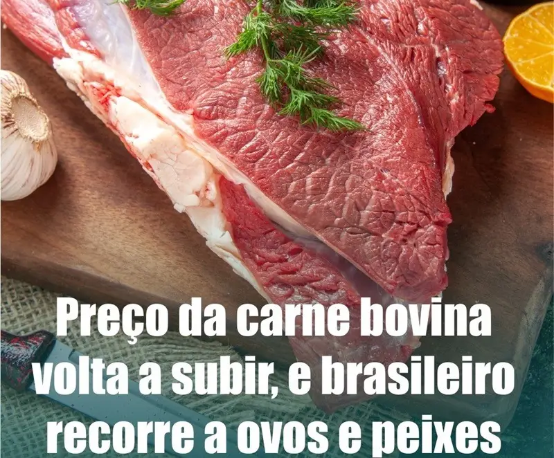 Carne Bovina Volta a Subir em Novembro de 2024