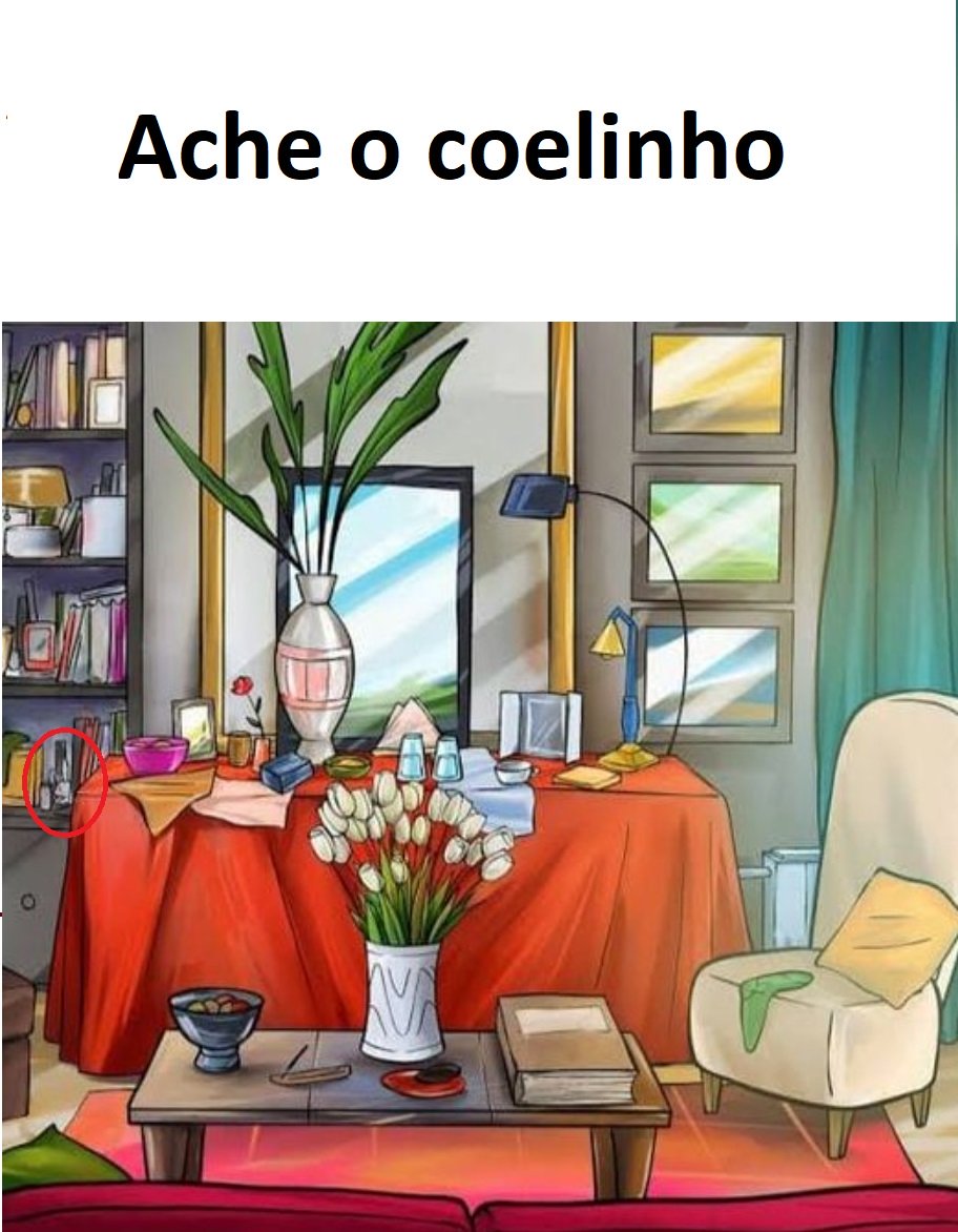 Encontre o coelhinho na sala!!