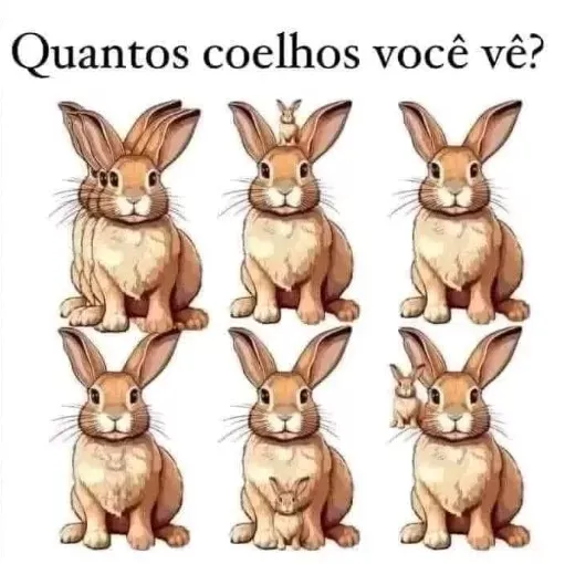 Encontre os coelhos escondidos!!