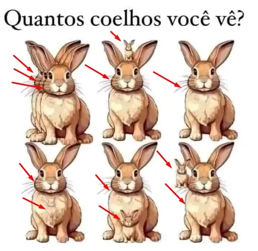 Encontre os coelhos escondidos!!